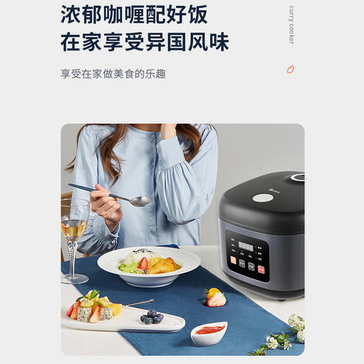 艾贝丽 /电饭煲ABL-FB502 商品图7