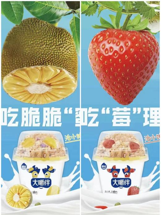 妙奇嚼绊酸奶 商品图0