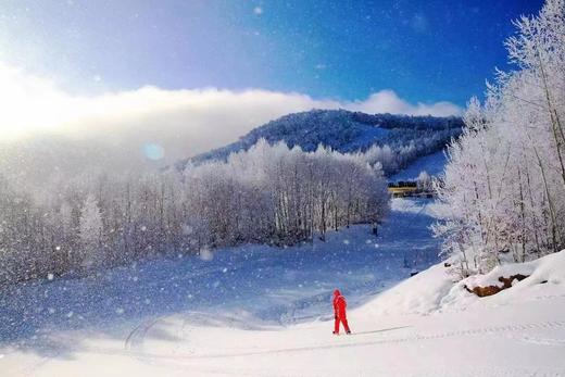 【长白山柏悦酒店】赠送两大一小滑雪票/温泉票/山野珍馐，食在柏悦/雾凇仙气环绕私汤 商品图1