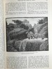 1886年 英国插图杂志 数百幅插图 漆布精装16开 商品缩略图10