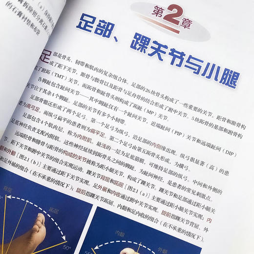 运动贴扎 包扎与外固定技术 第4版  运动康复书籍 商品图3