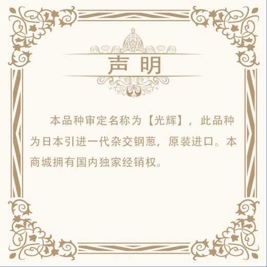 【种子】日本进口【光辉】一代杂交钢葱 耐抽薹 返青快 高产潜力大 商品图6