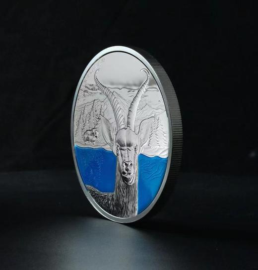 中国国家公园——三江源纪念章 60mm 商品图6