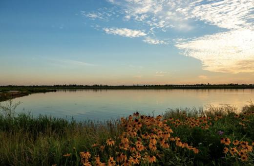 【33年老树 自然清甜】自然动力法种植的皇冠梨 / 酥梨 超限定 新农人系列 商品图9