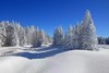 【长白山柏悦酒店】赠送两大一小滑雪票/温泉票/山野珍馐，食在柏悦/雾凇仙气环绕私汤 商品缩略图3