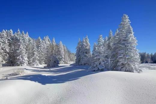 【长白山柏悦酒店】赠送两大一小滑雪票/温泉票/山野珍馐，食在柏悦/雾凇仙气环绕私汤 商品图3