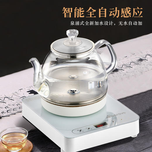 艾贝丽 / 电热水壶ABL-B09 商品图4