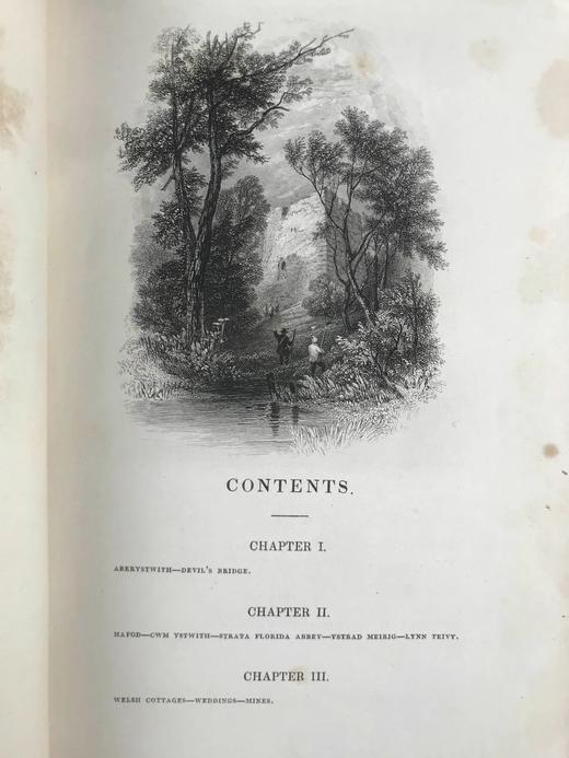 约19世纪后期 南威尔士的漫步与旅行 48幅精美版画插图 全真皮精装16开 商品图4