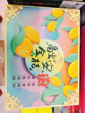 融安金桔一箱（拼团）