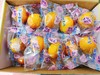 融安金桔一箱（拼团） 商品缩略图2