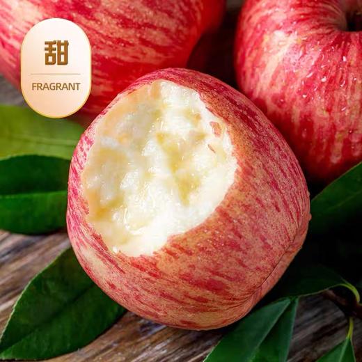 王掌柜吉苹（大果1箱32个头（不是每颗苹果都叫王掌柜）（7.8/个） 商品图2