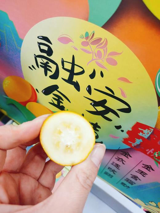 融安金桔一箱（拼团） 商品图4