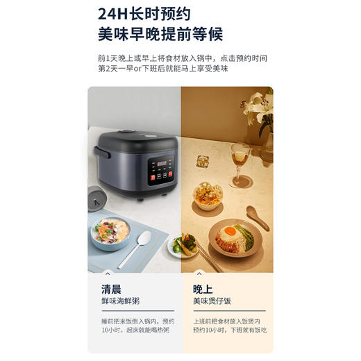 艾贝丽 /电饭煲ABL-FB502 商品图9