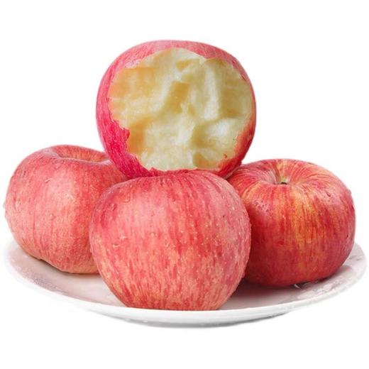 王掌柜吉苹（大果1箱32个头（不是每颗苹果都叫王掌柜）（7.8/个） 商品图3