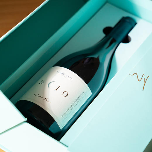 智利柯诺苏逸品黑比诺红葡萄酒 商品图2