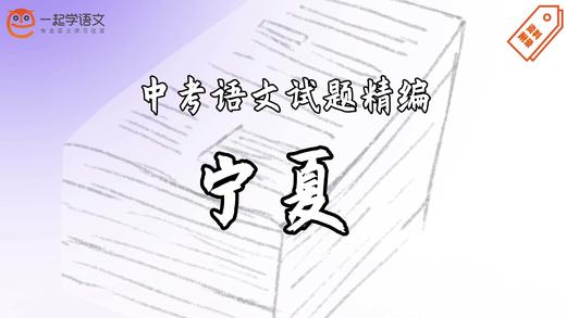 中考语文试题精编·宁夏 商品图0