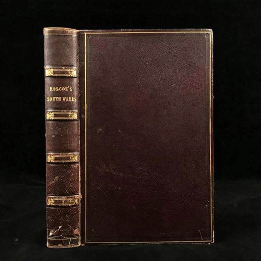 约19世纪后期 南威尔士的漫步与旅行 48幅精美版画插图 全真皮精装16开 商品图0