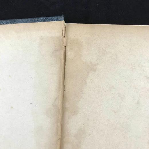 1882年 巧言小筑杂志 数百幅精美插图（含多幅彩色） 漆布精装16开 商品图2