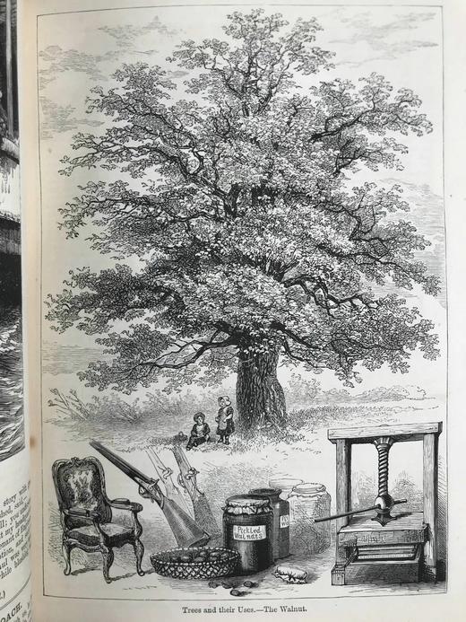 1882年 巧言小筑杂志 数百幅精美插图（含多幅彩色） 漆布精装16开 商品图11