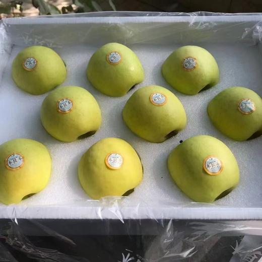 木艮本 阿庆王子×瑞雪苹果 （8-9头毛重6斤）| 水果 商品图2