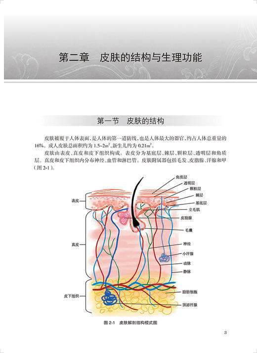 正版现货 中西医结合皮肤病学 中国中医科学院研究生系列教材 供中西医结合类等专业用 崔炳南主编 人民卫生出版社9787117336734 商品图4