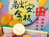 融安金桔一箱（拼团） 商品缩略图3