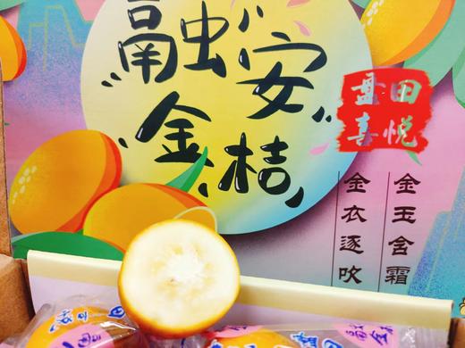 融安金桔一箱（拼团） 商品图3