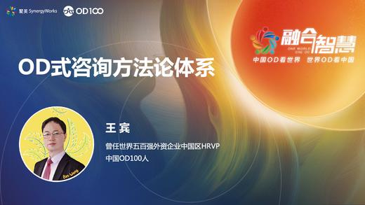 王宾：OD式咨询方法论体系 商品图0
