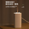 【静音加湿 暖灯温馨】新款加湿器静音家用卧室办公室桌面宿舍大喷雾大容量充电款礼品 商品缩略图1