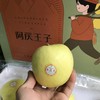 木艮本 阿庆王子×瑞雪苹果 （8-9头毛重6斤）| 水果 商品缩略图0