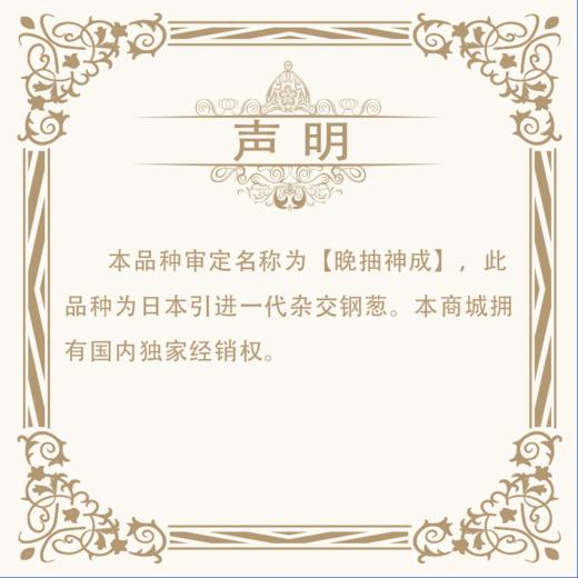 【种子】日本进口一代杂交越冬拱棚葱优质品种【晚抽神成 】 商品图4