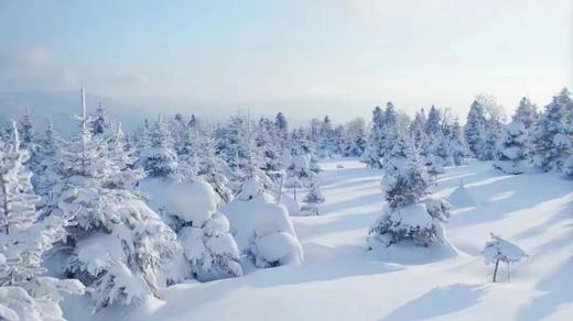 【长白山柏悦酒店】赠送两大一小滑雪票/温泉票/山野珍馐，食在柏悦/雾凇仙气环绕私汤 商品图2