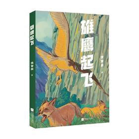 中文分级阅读七年级 雄鹰起飞 金曾豪 著 青春文学
