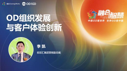 李凯：组织发展与客户体验创新 商品图0