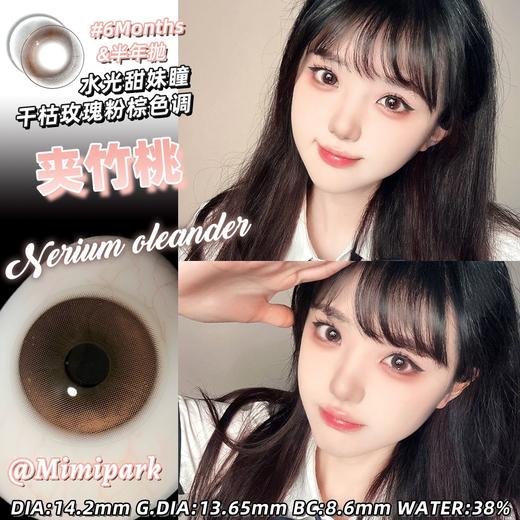 mimipark 半年抛美瞳 夹竹桃 直径14.2mm着色13.65mm 商品图6