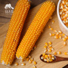 生态爆粒玉米（临期） | 合作生产*Ecological Burst grain corn | Coproducted 商品缩略图2