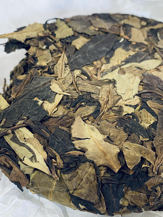 2022[野·生古树白茶]野香野韵白茶！浓郁的野果子香~ 商品图5