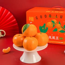 【碰上好运-宜昌椪柑】酸甜口感  孕妇水果 汁多味浓 果肉细嫩 颗粒饱满