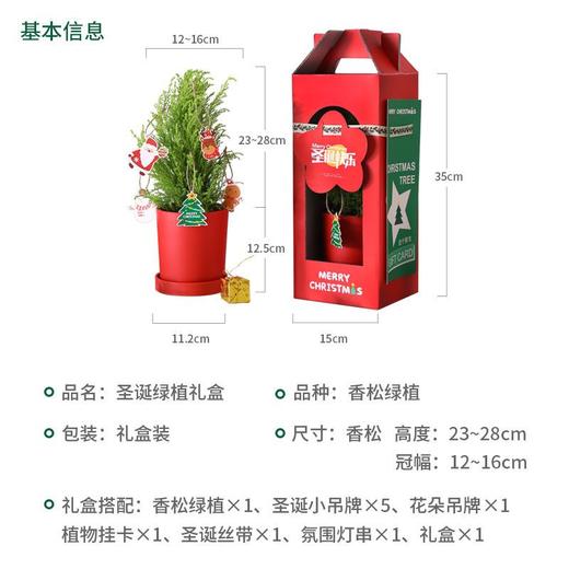 【会长大的圣诞树】圣诞节礼物女生老师圣诞树创意迷你小树盆栽家用桌面装饰小型摆件 商品图5