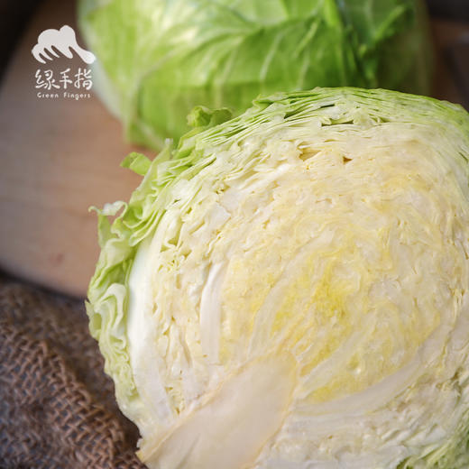 生态包菜 | 合作生产*ecological cabbage | Coproduction 商品图3