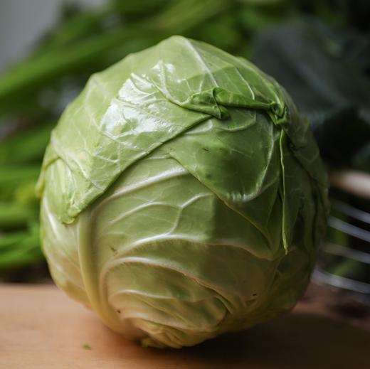 生态包菜 | 合作生产*ecological cabbage | Coproduction 商品图0