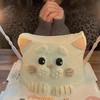 猫咪蛋糕南瓜椰子 商品缩略图0
