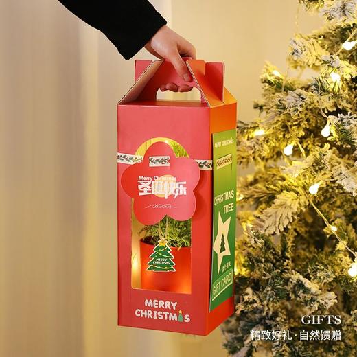 【会长大的圣诞树】圣诞节礼物女生老师圣诞树创意迷你小树盆栽家用桌面装饰小型摆件 商品图2