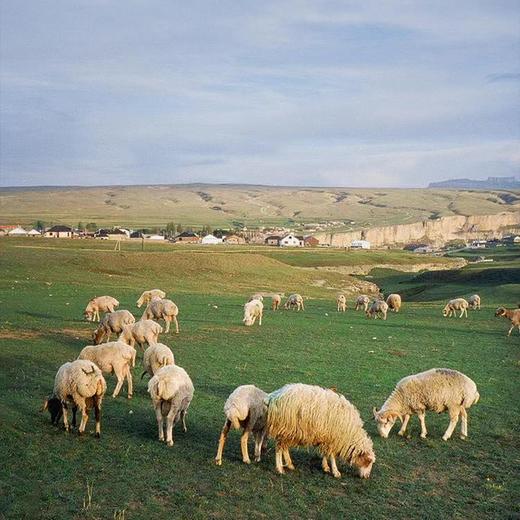 新西兰羊排 2片装160g*2份 商品图2