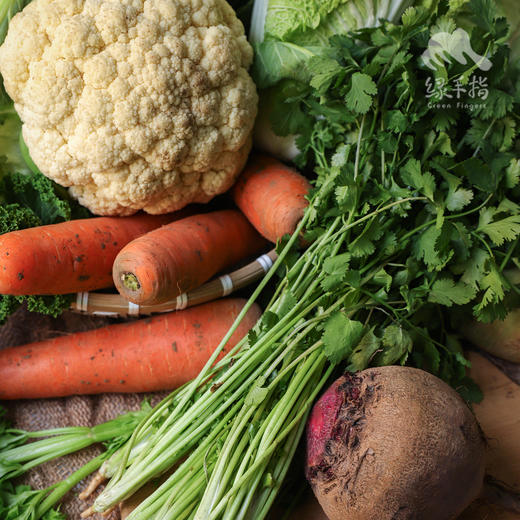 生态时令蔬菜箱（冬季） | 合作生产* Ecological vegetable box  | Coproduction 商品图1