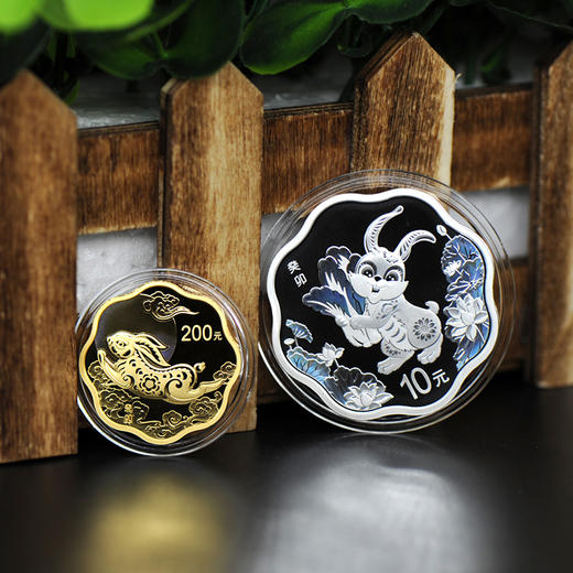 河南中钱  中国金币 2023年癸卯兔年生肖金银币   兔年金银币  生肖金银币 商品图7