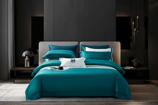 5F千伯伦提花四件套200*230cm 商品图0