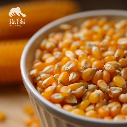 生态爆粒玉米（临期） | 合作生产*Ecological Burst grain corn | Coproducted 商品图0