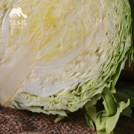 生态包菜 | 合作生产*ecological cabbage | Coproduction 商品图2