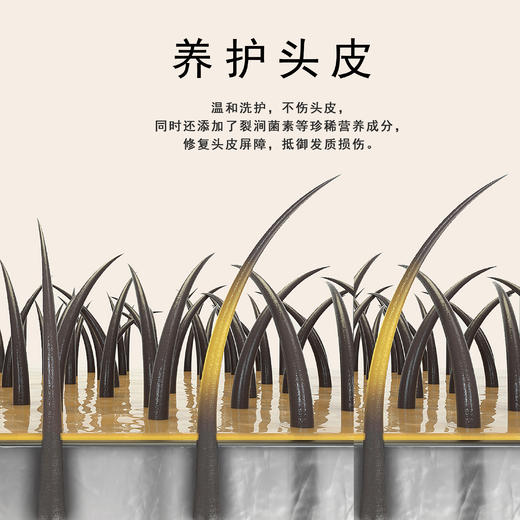 无患子洗发水 商品图3